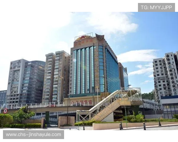 澳门金龙旗舰厅多样化的游戏类型满足不同玩家的娱乐偏好与体验需求