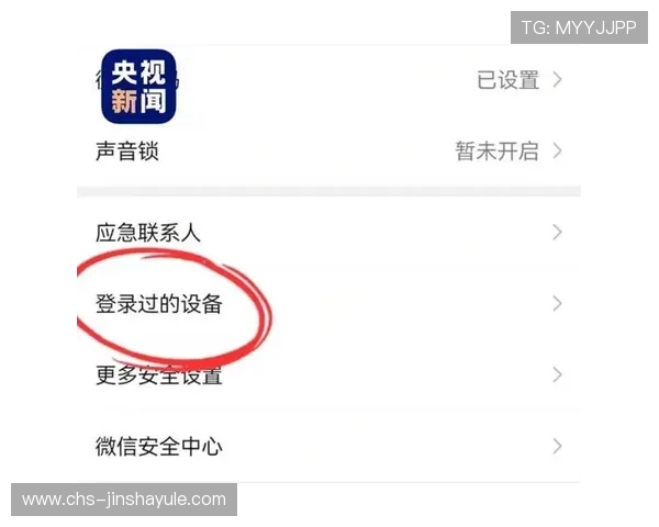 澳门金沙集团官网安全保障措施解析，保障您的账户资金与个人信息安全
